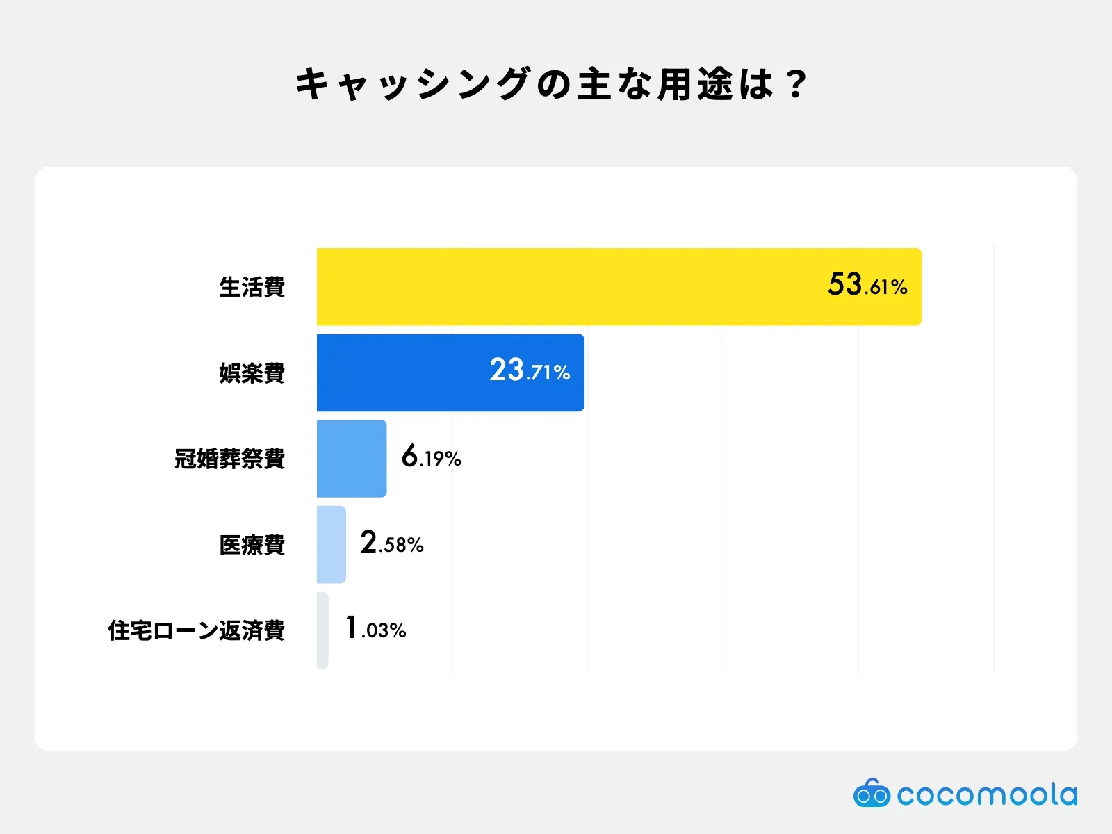 クレジットカードのキャッシングで借りたお金の用途をグラフで解説。生活費や娯楽費が上位