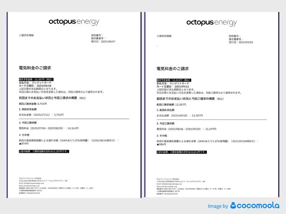 オクトパスエナジー利用者の電気代明細2