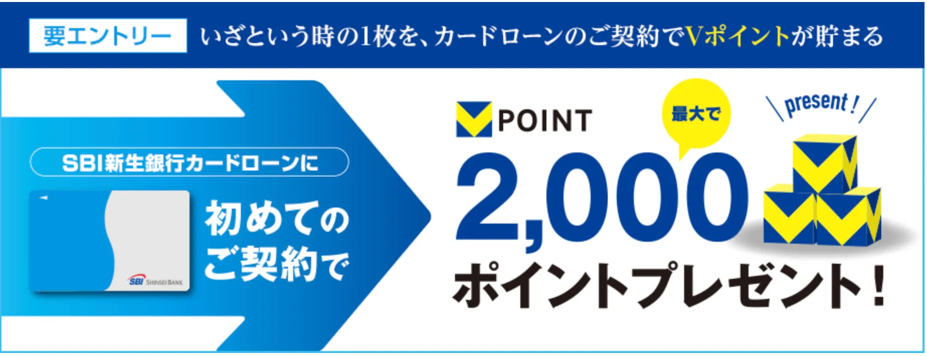 sbiloan-vpointprogram